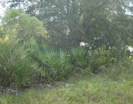 PERENNIAL ROAD, NORTH PORT, Florida 34291, ,Vacant land,For sale,PERENNIAL,C7023879