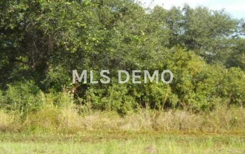 PERENNIAL ROAD, NORTH PORT, Florida 34291, ,Vacant land,For sale,PERENNIAL,C7023879