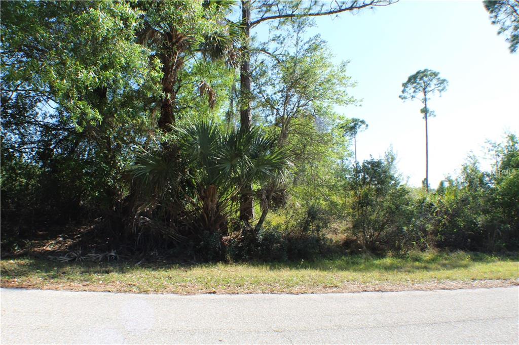 12335 & 12343 MORTON AVENUE, PORT CHARLOTTE, Florida 33953, ,Vacant land,For sale,MORTON,C7237766