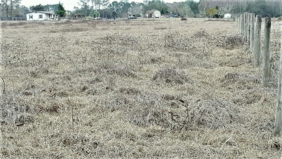 10 acres BAY LAKE ROAD, GROVELAND, Florida 34736, ,Vacant land,For sale,BAY LAKE,G4851474