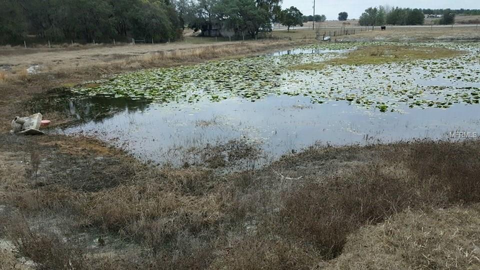 10 acres BAY LAKE ROAD, GROVELAND, Florida 34736, ,Vacant land,For sale,BAY LAKE,G4851474