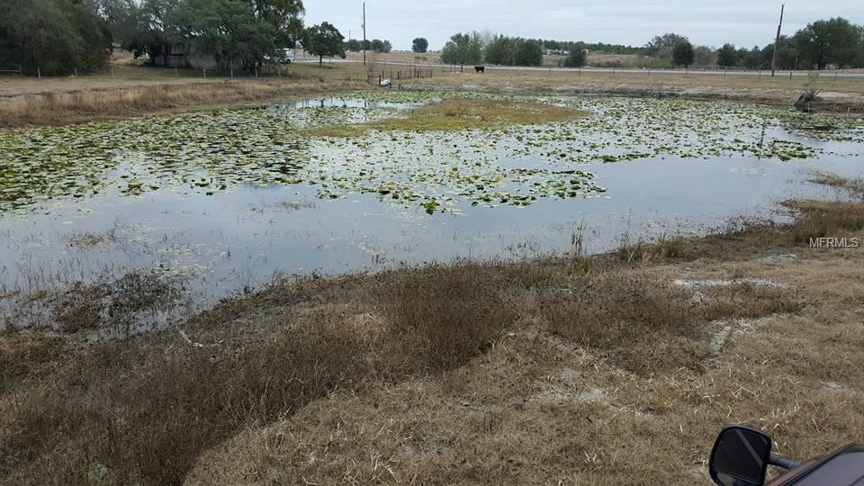10 acres BAY LAKE ROAD, GROVELAND, Florida 34736, ,Vacant land,For sale,BAY LAKE,G4851474