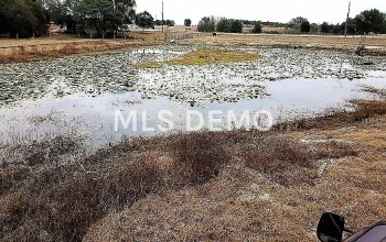 10 acres BAY LAKE ROAD, GROVELAND, Florida 34736, ,Vacant land,For sale,BAY LAKE,G4851474