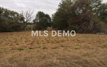 19112 CAUSEY ROAD, CLERMONT, Florida 34715, ,Vacant land,For sale,CAUSEY,G4851496