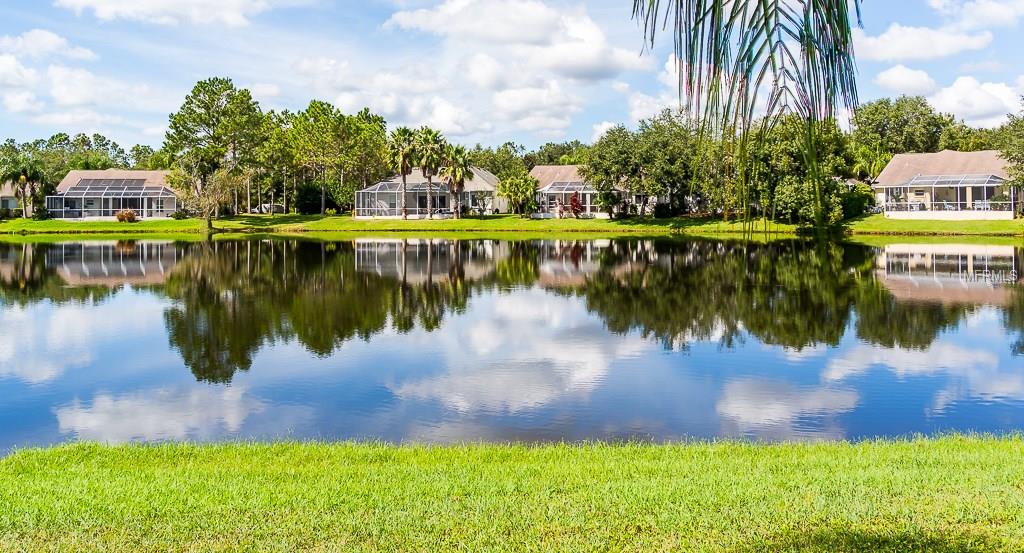 10125 WHISPER POINTE DRIVE, TAMPA, Florida 33647, 4 Bedrooms Bedrooms, 3 Rooms Rooms,3 BathroomsBathrooms,Residential,For sale,WHISPER POINTE,T2909495
