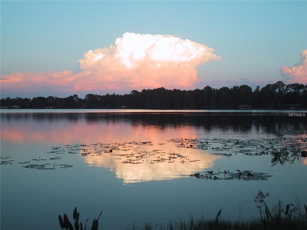 18778 JIRETZ ROAD, ODESSA, Florida 33556, ,Vacant land,For sale,JIRETZ,T2928576