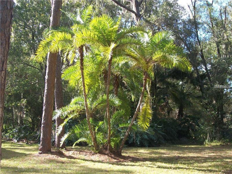 18778 JIRETZ ROAD, ODESSA, Florida 33556, ,Vacant land,For sale,JIRETZ,T2928576