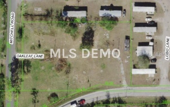 20234 OAKLEAF LANE, LAND O LAKES, Florida 34638, ,Vacant land,For sale,OAKLEAF,H2204483