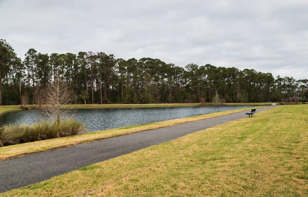 4225 SALTMARSH SPARROW DRIVE, WINDERMERE, Florida 34786, 4 Bedrooms Bedrooms, 10 Rooms Rooms,2 BathroomsBathrooms,Residential,For sale,SALTMARSH SPARROW,O5561223