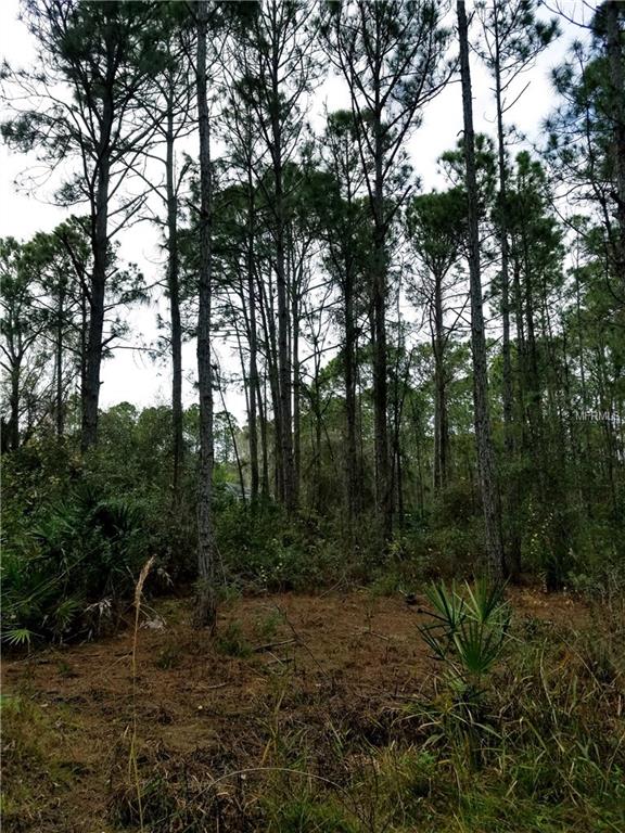 ULMAN AVENUE, NORTH PORT, Florida 34286, ,Vacant land,For sale,ULMAN,C7247871