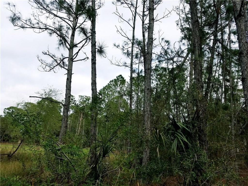 ULMAN AVENUE, NORTH PORT, Florida 34286, ,Vacant land,For sale,ULMAN,C7247871