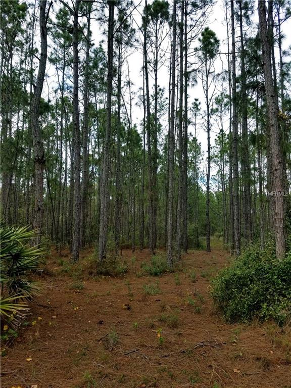 ULMAN AVENUE, NORTH PORT, Florida 34286, ,Vacant land,For sale,ULMAN,C7247871