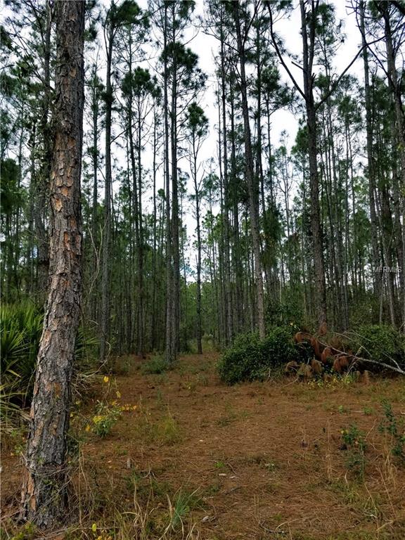 ULMAN AVENUE, NORTH PORT, Florida 34286, ,Vacant land,For sale,ULMAN,C7247871