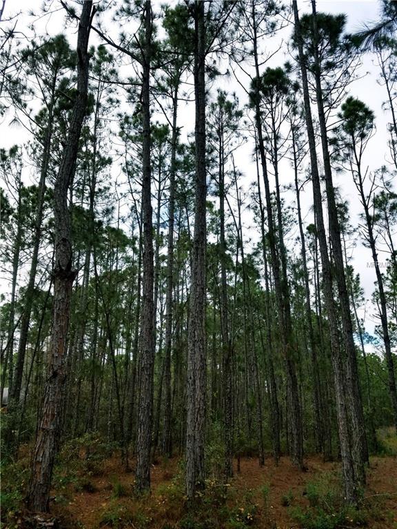 ULMAN AVENUE, NORTH PORT, Florida 34286, ,Vacant land,For sale,ULMAN,C7247871