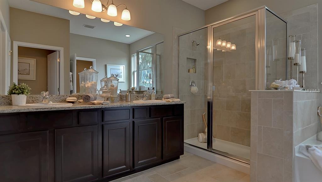 31992 GODDARD DRIVE, WESLEY CHAPEL, Florida 33543, 4 Bedrooms Bedrooms, 8 Rooms Rooms,3 BathroomsBathrooms,Residential,For sale,GODDARD,T2905837