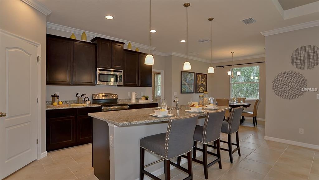 31992 GODDARD DRIVE, WESLEY CHAPEL, Florida 33543, 4 Bedrooms Bedrooms, 8 Rooms Rooms,3 BathroomsBathrooms,Residential,For sale,GODDARD,T2905837