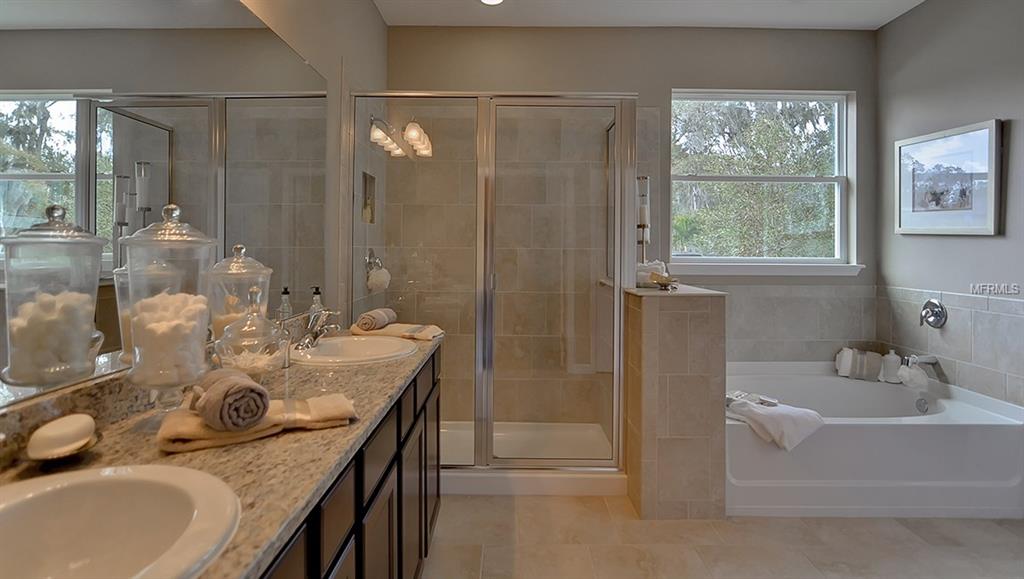 31992 GODDARD DRIVE, WESLEY CHAPEL, Florida 33543, 4 Bedrooms Bedrooms, 8 Rooms Rooms,3 BathroomsBathrooms,Residential,For sale,GODDARD,T2905837