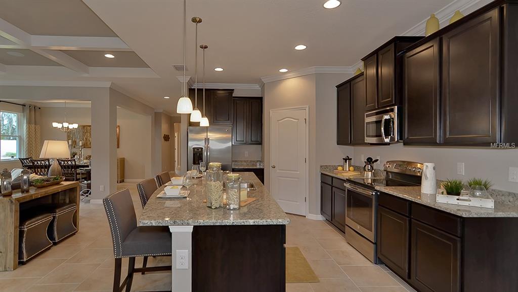 31992 GODDARD DRIVE, WESLEY CHAPEL, Florida 33543, 4 Bedrooms Bedrooms, 8 Rooms Rooms,3 BathroomsBathrooms,Residential,For sale,GODDARD,T2905837