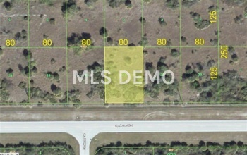 14300 APPLETON BOULEVARD, PORT CHARLOTTE, Florida 33981, ,Vacant land,For sale,APPLETON,D5922410