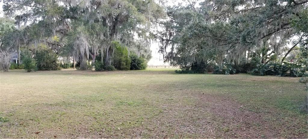 608 LAKEVIEW AVENUE, SEFFNER, Florida 33584, ,Vacant land,For sale,LAKEVIEW,T2928598