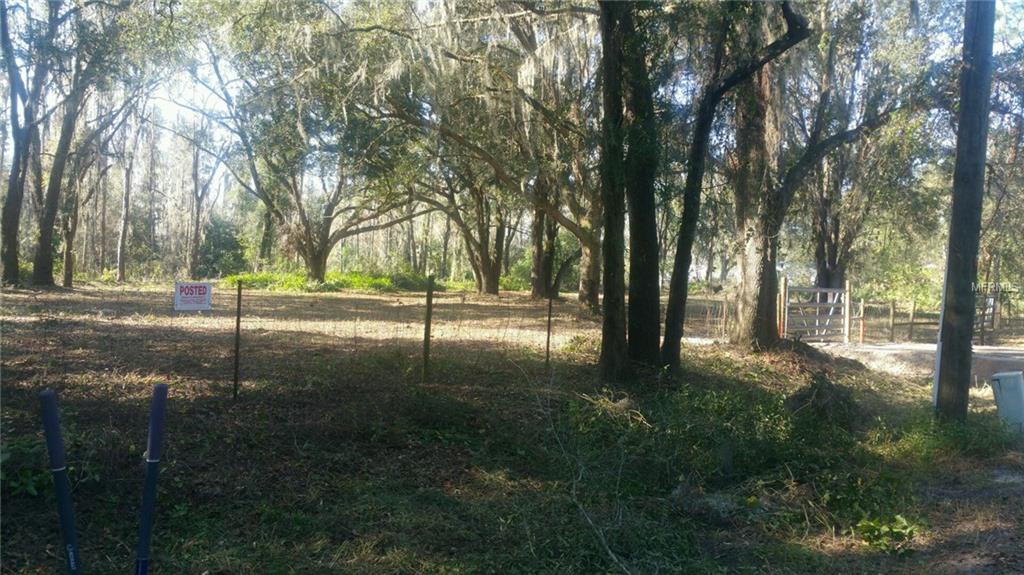 BRUTON ROAD, PLANT CITY, Florida 33565, ,Vacant land,For sale,BRUTON,T2879449