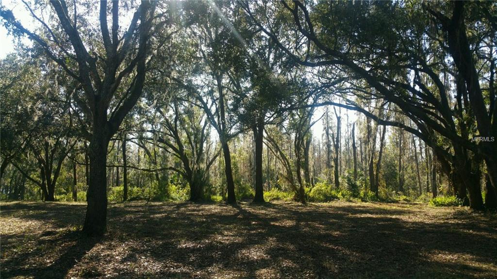 BRUTON ROAD, PLANT CITY, Florida 33565, ,Vacant land,For sale,BRUTON,T2879449