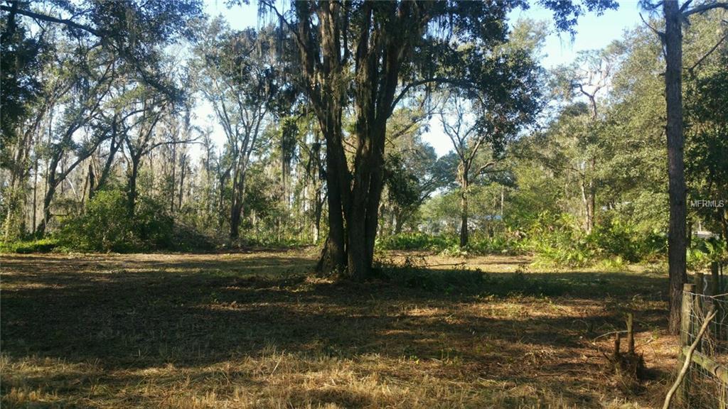 BRUTON ROAD, PLANT CITY, Florida 33565, ,Vacant land,For sale,BRUTON,T2879449