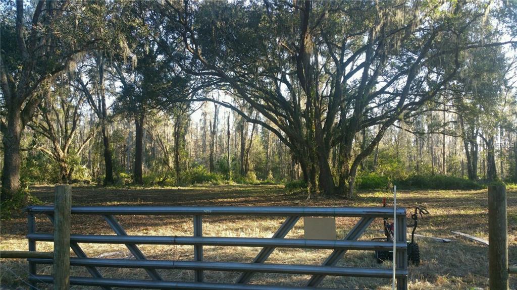 BRUTON ROAD, PLANT CITY, Florida 33565, ,Vacant land,For sale,BRUTON,T2879449