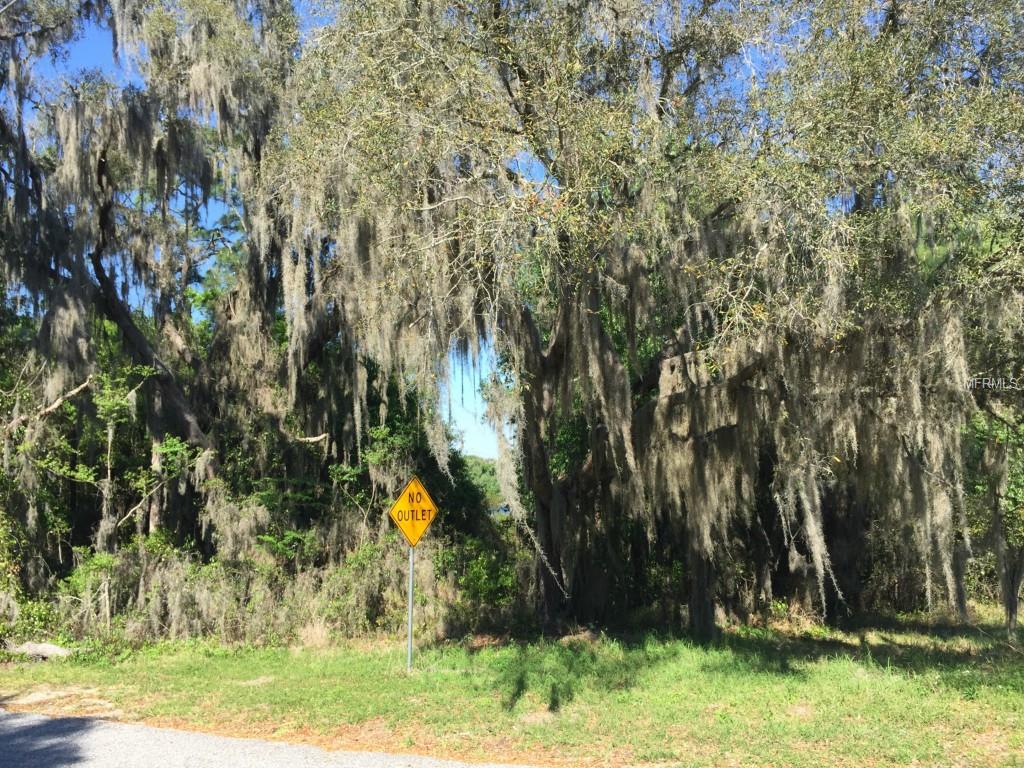 SHADOW WOOD LANE, LADY LAKE, Florida 32159, ,Vacant land,For sale,SHADOW WOOD,G4810119