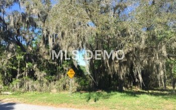 SHADOW WOOD LANE, LADY LAKE, Florida 32159, ,Vacant land,For sale,SHADOW WOOD,G4810119