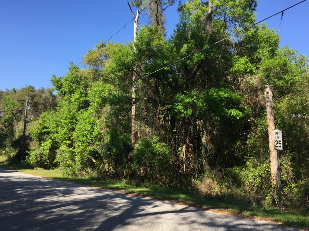 SHADOW WOOD LANE, LADY LAKE, Florida 32159, ,Vacant land,For sale,SHADOW WOOD,G4810127