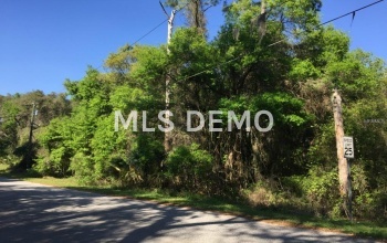 SHADOW WOOD LANE, LADY LAKE, Florida 32159, ,Vacant land,For sale,SHADOW WOOD,G4810127