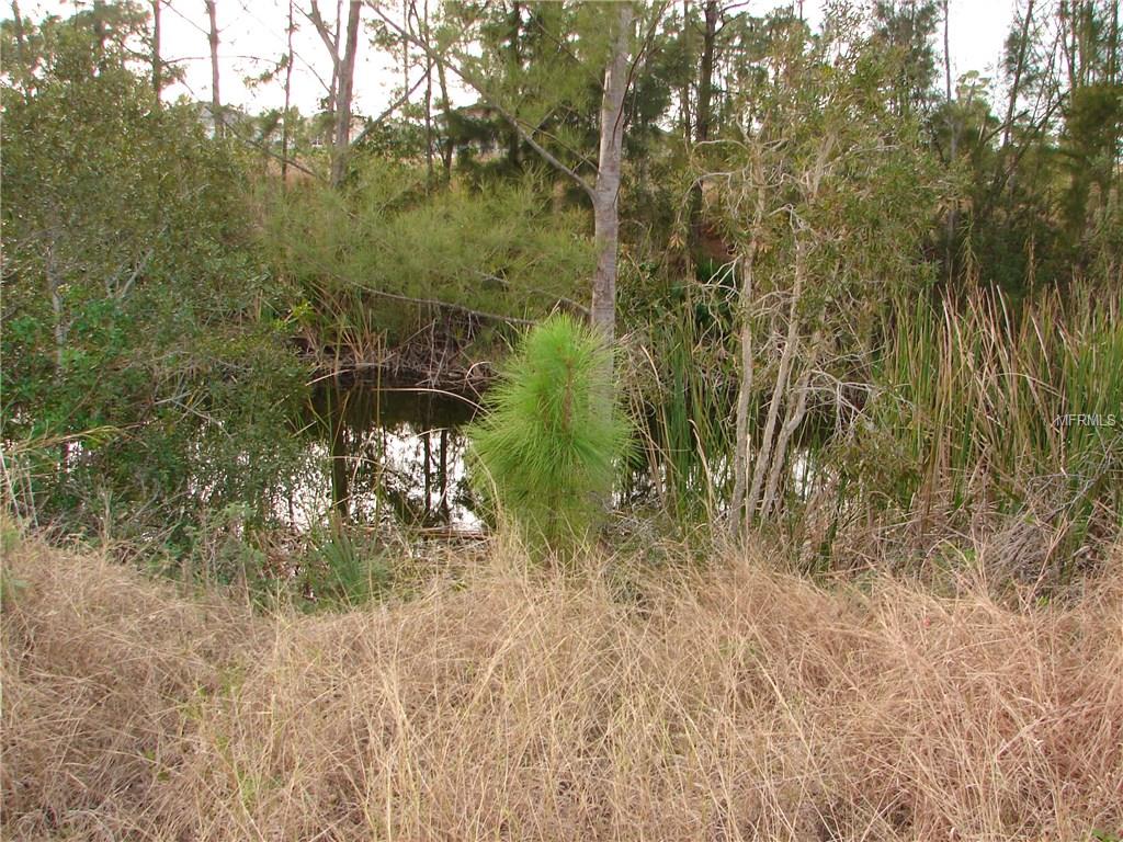 2426 NW 18TH PLACE, CAPE CORAL, Florida 33993, ,Vacant land,For sale,18TH,C7247995