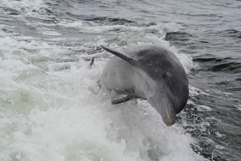 SEA GULL COURT, PUNTA GORDA, Florida 33950, ,Vacant land,For sale,SEA GULL,C7210591