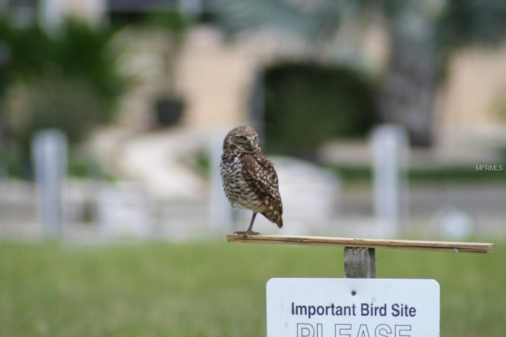 SEA GULL COURT, PUNTA GORDA, Florida 33950, ,Vacant land,For sale,SEA GULL,C7210591