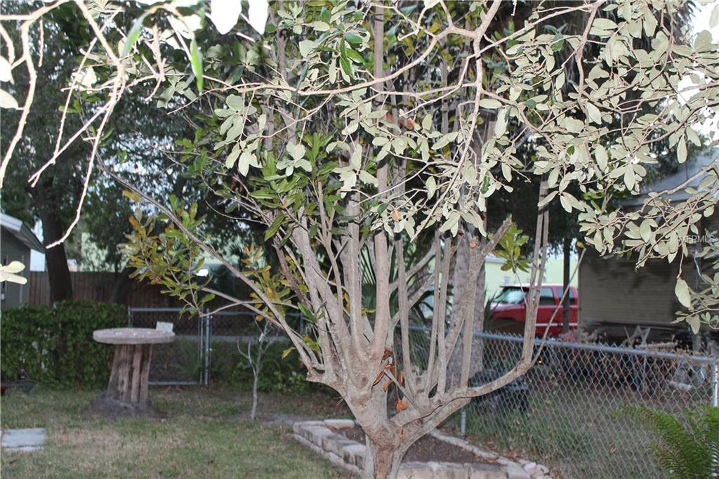 510 W GREEN STREET, ENGLEWOOD, Florida 34223, 2 Bedrooms Bedrooms, 6 Rooms Rooms,1 BathroomBathrooms,Residential,For sale,GREEN,D5921362