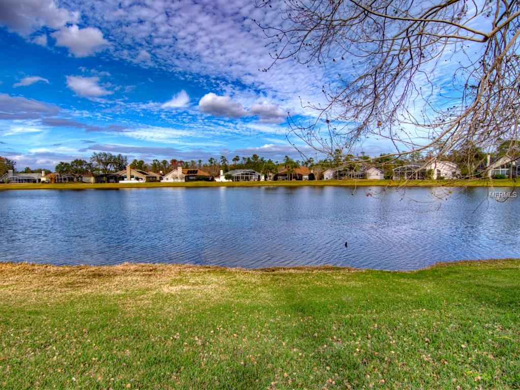 3425 STERLING LAKE CIRCLE, OVIEDO, Florida 32765, 5 Bedrooms Bedrooms, 9 Rooms Rooms,3 BathroomsBathrooms,Residential,For sale,STERLING LAKE,O5555282
