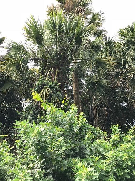 KOLTENBORN ROAD, NORTH PORT, Florida 34288, ,Vacant land,For sale,KOLTENBORN,A4207301