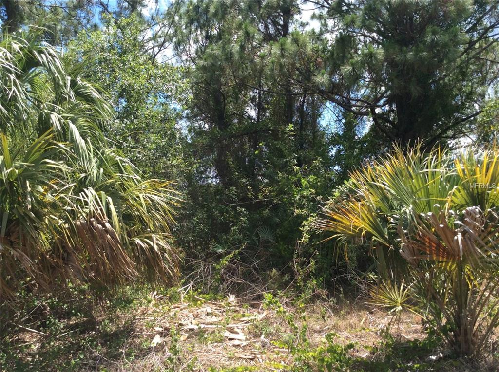 MAPLEWOOD TERRACE, NORTH PORT, Florida 34288, ,Vacant land,For sale,MAPLEWOOD,C7240322