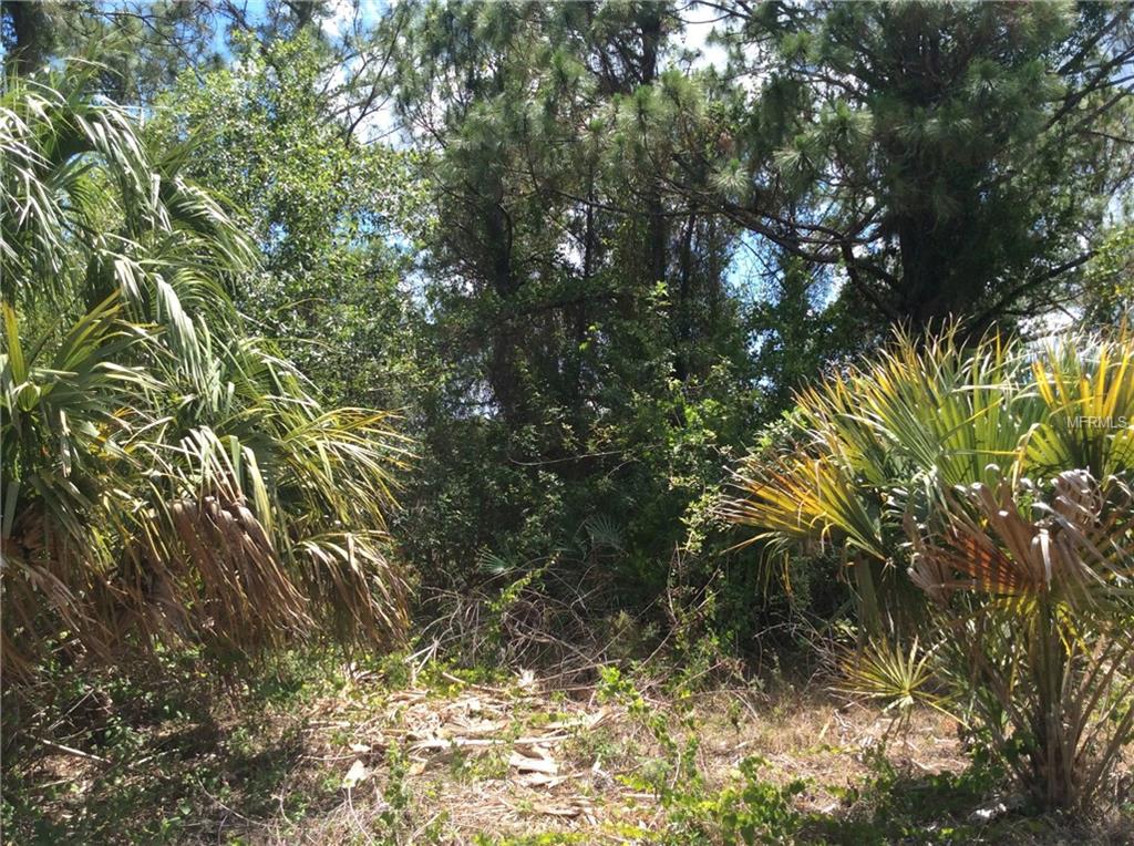 MAPLEWOOD TERRACE, NORTH PORT, Florida 34288, ,Vacant land,For sale,MAPLEWOOD,C7240323