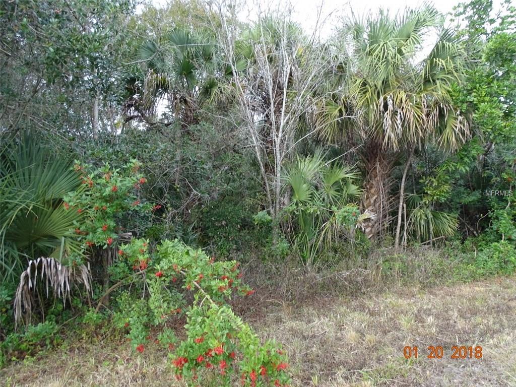 194 RAY STREET, PORT CHARLOTTE, Florida 33954, ,Vacant land,For sale,RAY,C7248168