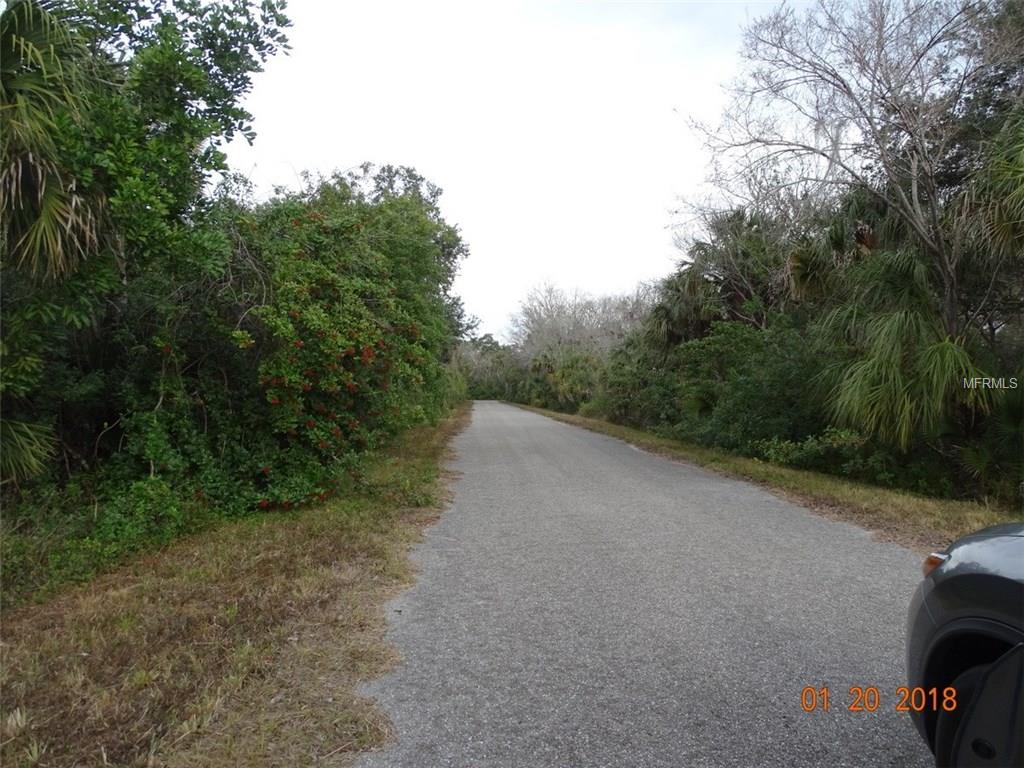 194 RAY STREET, PORT CHARLOTTE, Florida 33954, ,Vacant land,For sale,RAY,C7248168