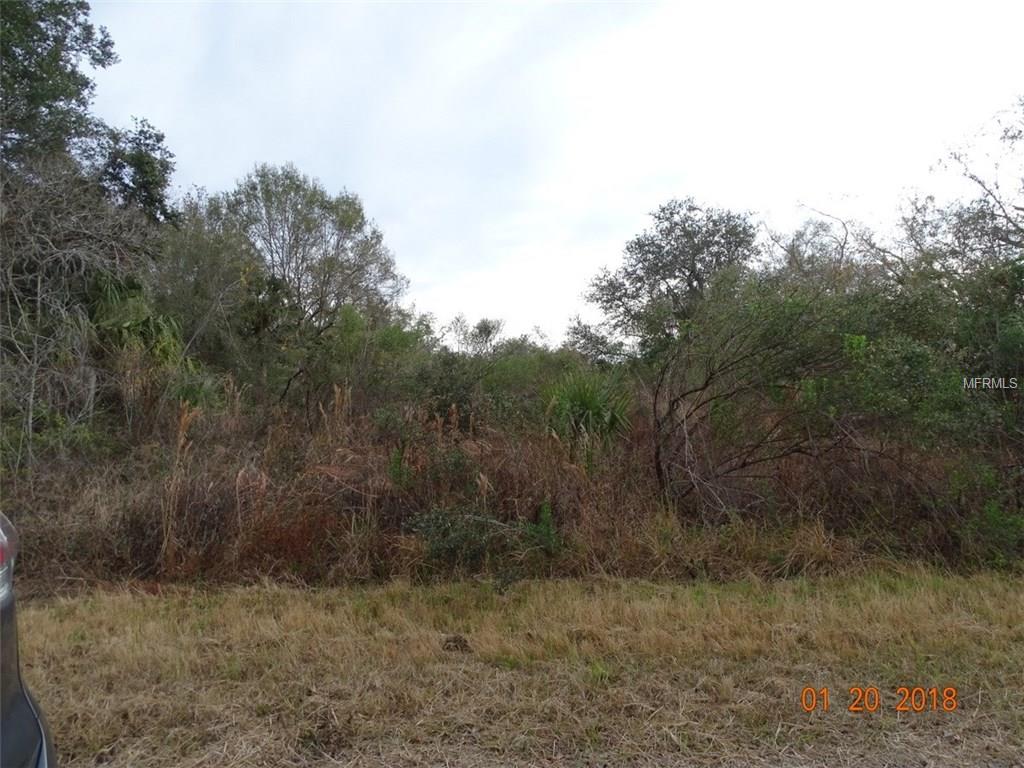 194 RAY STREET, PORT CHARLOTTE, Florida 33954, ,Vacant land,For sale,RAY,C7248168