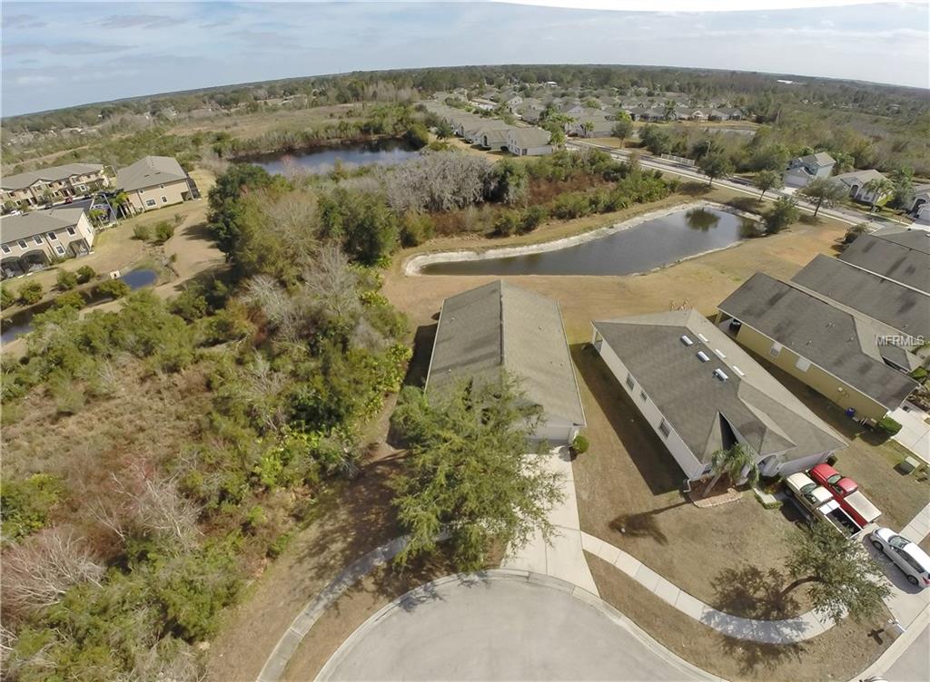 4312 BALMORAL COURT, WESLEY CHAPEL, Florida 33543, 4 Bedrooms Bedrooms, 8 Rooms Rooms,3 BathroomsBathrooms,Residential,For sale,BALMORAL,T2926763