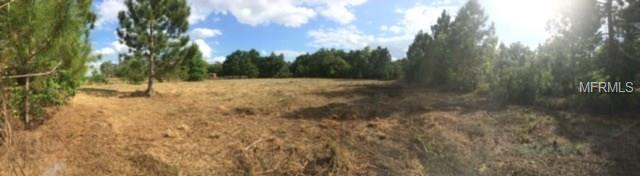 OLD DADE CITY ROAD, LAKELAND, Florida 33810, ,Vacant land,For sale,OLD DADE CITY,L4725141