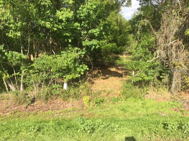 OLD DADE CITY ROAD, LAKELAND, Florida 33810, ,Vacant land,For sale,OLD DADE CITY,L4725141