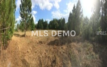 OLD DADE CITY ROAD, LAKELAND, Florida 33810, ,Vacant land,For sale,OLD DADE CITY,L4725141