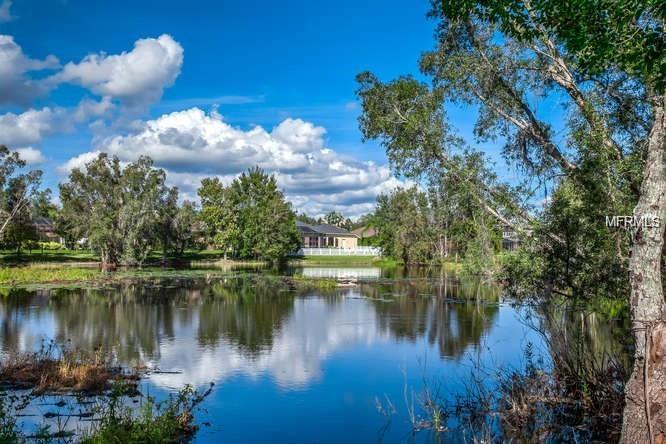 LAND O LAKES, Florida 34638, 4 Bedrooms Bedrooms, 9 Rooms Rooms,3 BathroomsBathrooms,Rental,For Rent,T2928606