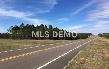 39240 US HWY 98, DADE CITY, Florida 33523, ,Vacant land,For sale,US HWY 98,E2205696