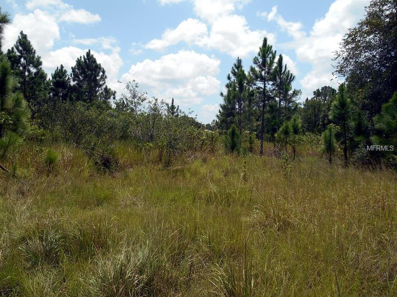 34 AMARYLLIS DRIVE S, INDIAN LAKE ESTATES, Florida 33855, ,Vacant land,For sale,AMARYLLIS,P4706533